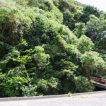 伊豆 白水城