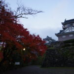 越前 大野城