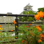 越中 富山城