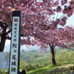 越後 鮫ヶ尾城